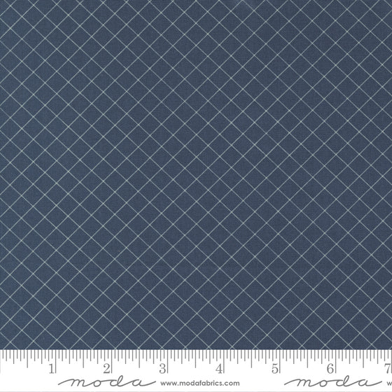 Patchworkstoff "Sunnyside", Camille Roskelley, Moda Fabrics