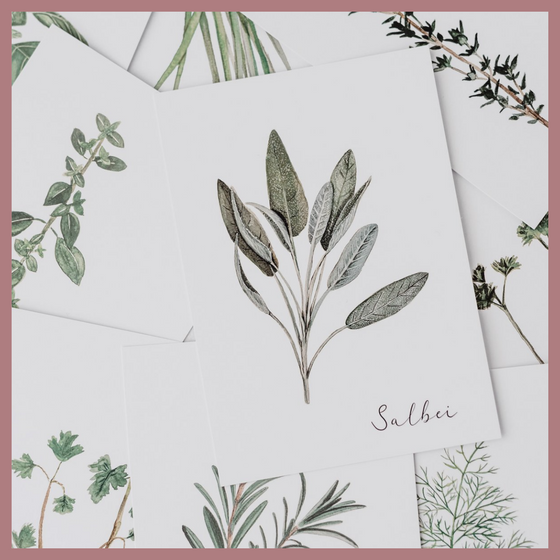 Postkarte "Salbei", Eulenschnitt